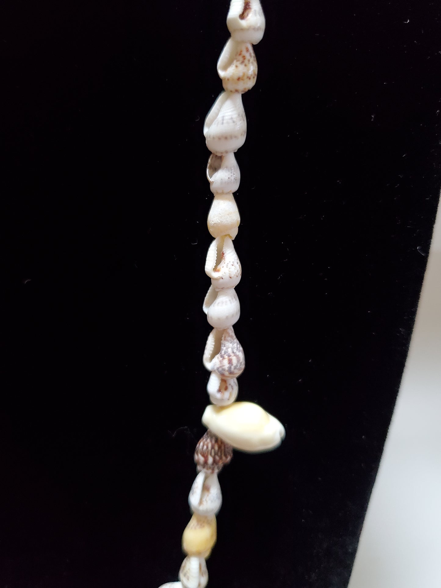 Verity 2 Seashell Necklace - Vedazzling Accessories