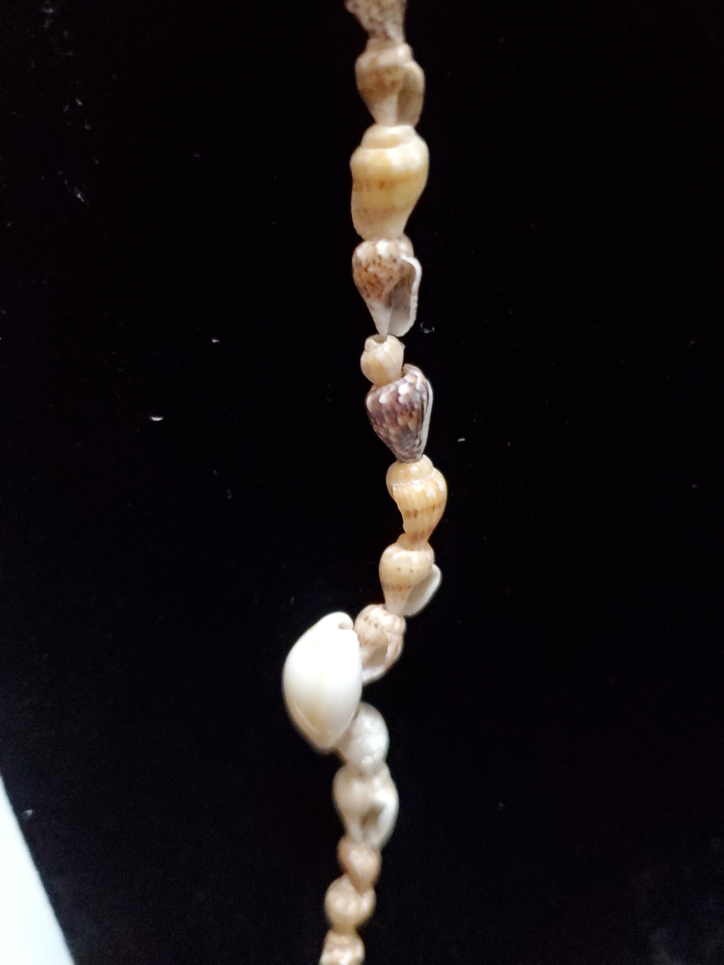 Shell Polynesia Necklace - Vedazzling Accessories