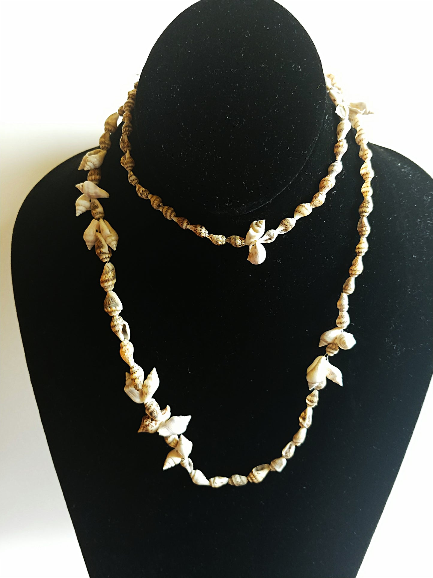 Destiny Looped Seashells - Vedazzling Accessories