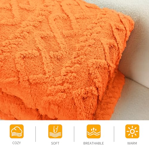 Aganear Fleece Throw Blanket - Cozy Soft Fuzzy Throw Blanket Boho Fall Decor Throw Blankets for Couch, Warm Present for Birthday, Christmas, Halloween, Housewarming(50"x60", Burnt Orange)