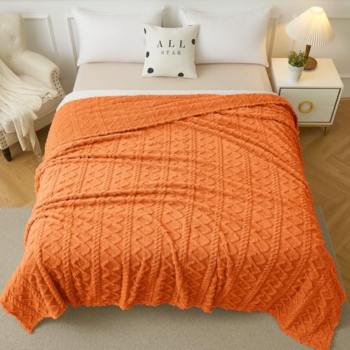 Aganear Fleece Throw Blanket - Cozy Soft Fuzzy Throw Blanket Boho Fall Decor Throw Blankets for Couch, Warm Present for Birthday, Christmas, Halloween, Housewarming(50"x60", Burnt Orange)