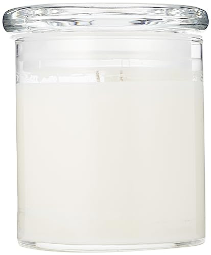 Vedazzling Accessories Pure Soy Wax 16oz Morning Dew