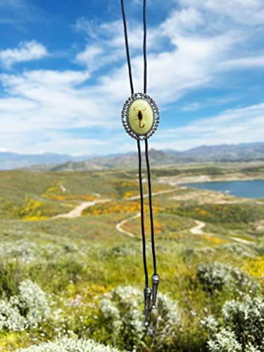 Real Gold Scorpion Bolo Tie, Glow in Dark Bolo Tie, Bug Gothic Western Necktie, Unisex Suit Accessory, Specimen Necklace