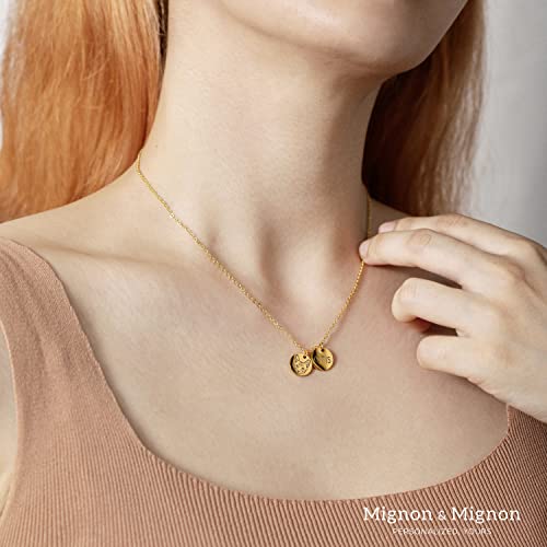 Custom Pet Gifts Cat memorial necklace Custom Pet Jewelry Dog Mom Memorial Jewelry Custom Pet Portrait - CN-AP (Silver)