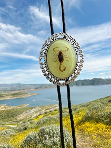 Real Gold Scorpion Bolo Tie, Glow in Dark Bolo Tie, Bug Gothic Western Necktie, Unisex Suit Accessory, Specimen Necklace