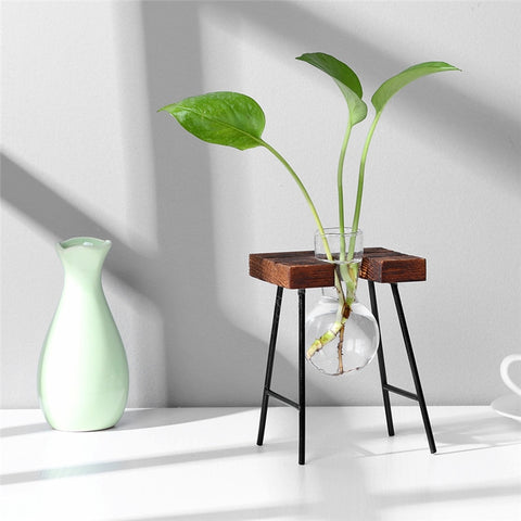 Glass and Wood Vase Planter Terrarium Table Desktop Hydroponics